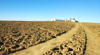 abandoned farm