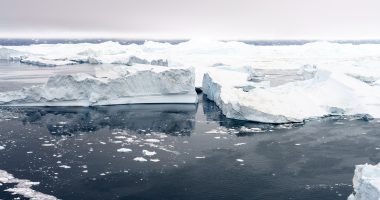 artic global warming warning