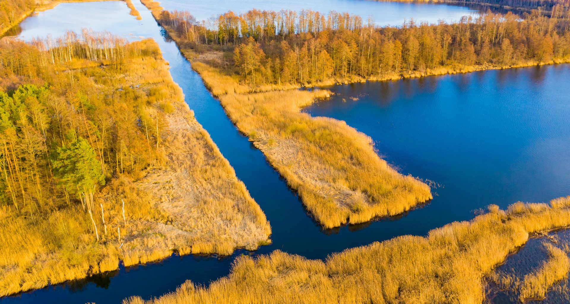 peatlands scotland