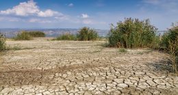 climate change and hunger